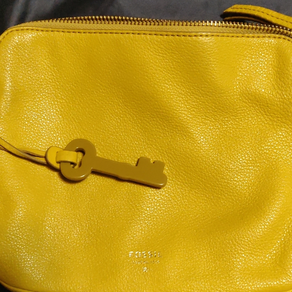 Fossil crossbody purse